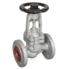 Cast iron Globe valve with bellows | KP